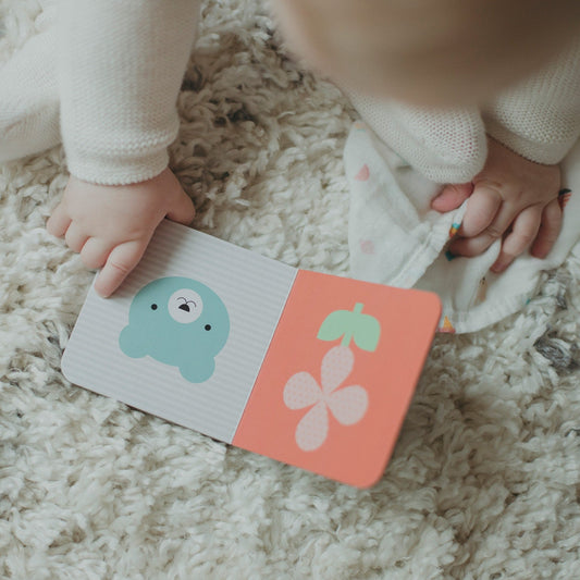 Little Monkey Baby Gift Set