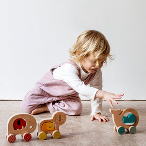 Wooden Push Along Lion Toy