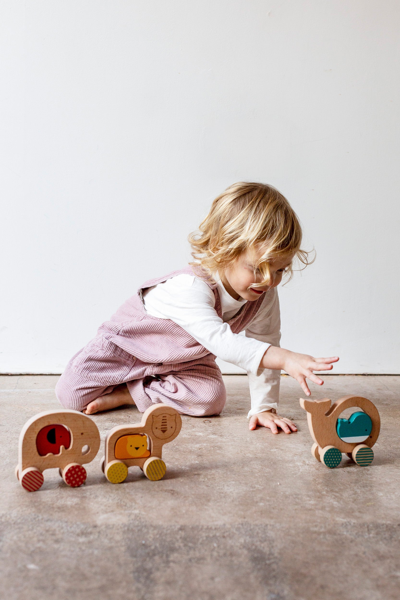 Wooden Push Along Lion Toy