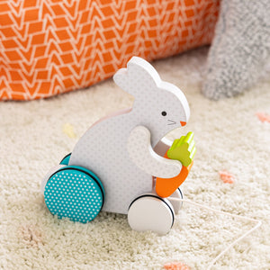 Busy Bunny Pull Toy