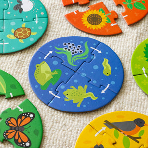 Discovery Puzzle: Life Cycle