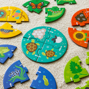 Discovery Puzzle: Life Cycle